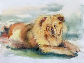 hund fluffig aquarell malerei tiere