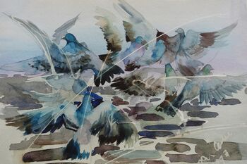 wilde Tauben Tiere im Aquarell