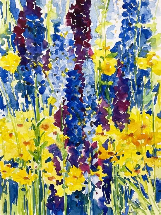 Ritterspron mit gelben Blumen malen Aquarell