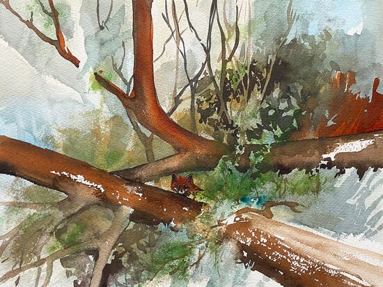 fucks versteck wald aquarell malerei