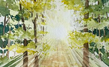 Licht im Wald aqurell