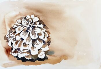 Zapfen mit Schnee Aquarell Weihnachtsmotiv