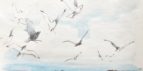Aquarellbild Möwen