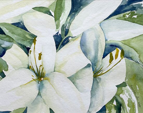 malen am meer weiss weiss blumen aquarell malerei