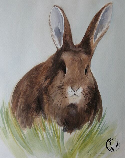 malen am meer hase Hase Kaninchen Tier im Aquarell