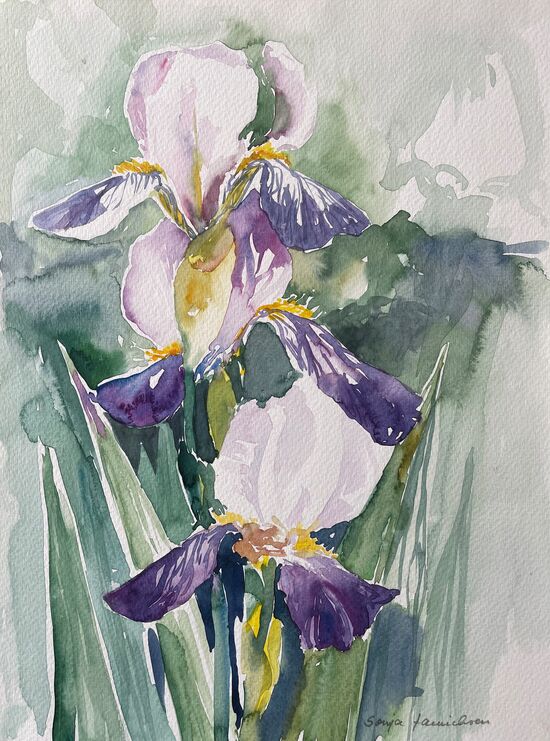 malen am meer iris Iris in Lila Blume malen Aquarell