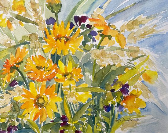 Calendula Korn Blumen im Aquarell
