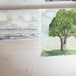 aquarell und sketch malkurs