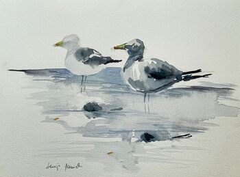 möwen malerei aquarell meer tiere