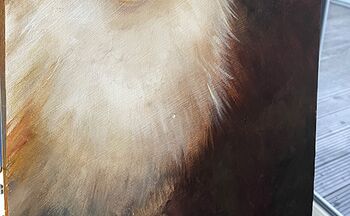 Fell malen bei einer Katze katzenporträt in öl