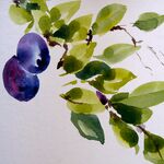 malanleitung aquarell