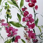 wicken malen im Aquarell