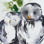 eulen aquarell malen lernen