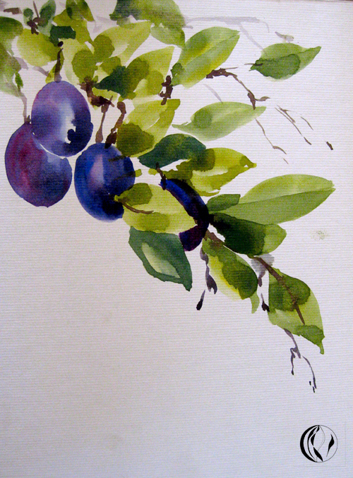 Pflaumen malen Malanleitung aquarell