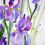 aquarell_iris_violett