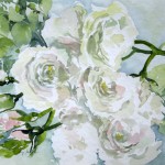 weiße Rosen Blumen Aquarellbild