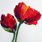 roter mohn einzelblüte im Aquarell malen