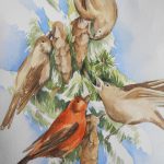 vogel kreuzschnäbler am zweig aquarell