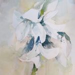 weiß amaryllis aquarell malerei gemälde blumen