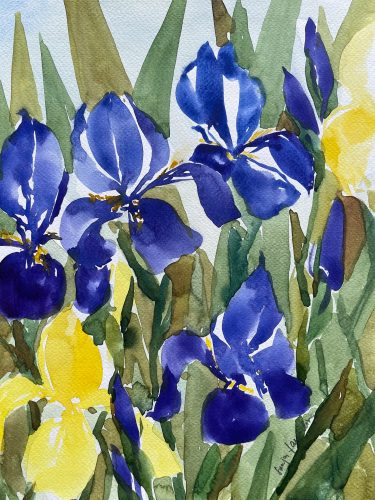 blaue und gelbe Iris Blume im Aquarell