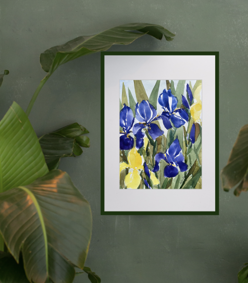 blaue und gelbe Iris im Aquarell