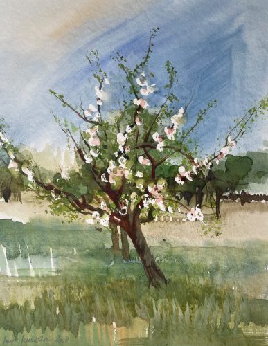 Apfelbaum in Blüte Landschaft im Aquarell