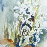 Blume schneeglöckchen weiß im Aquarell