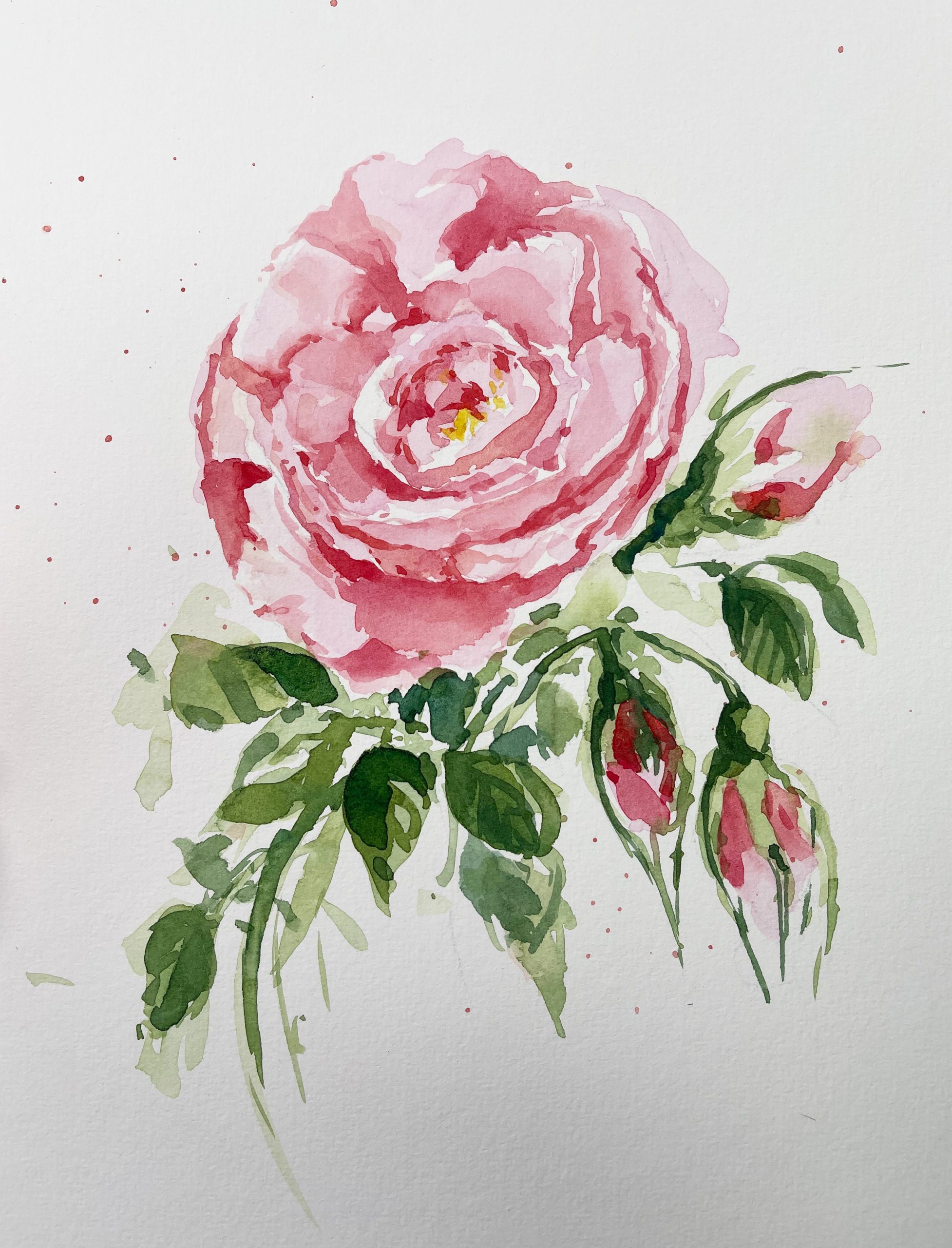 Rose im Aquarell rosa malen