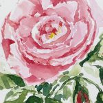 rosa rose im aquarell malen