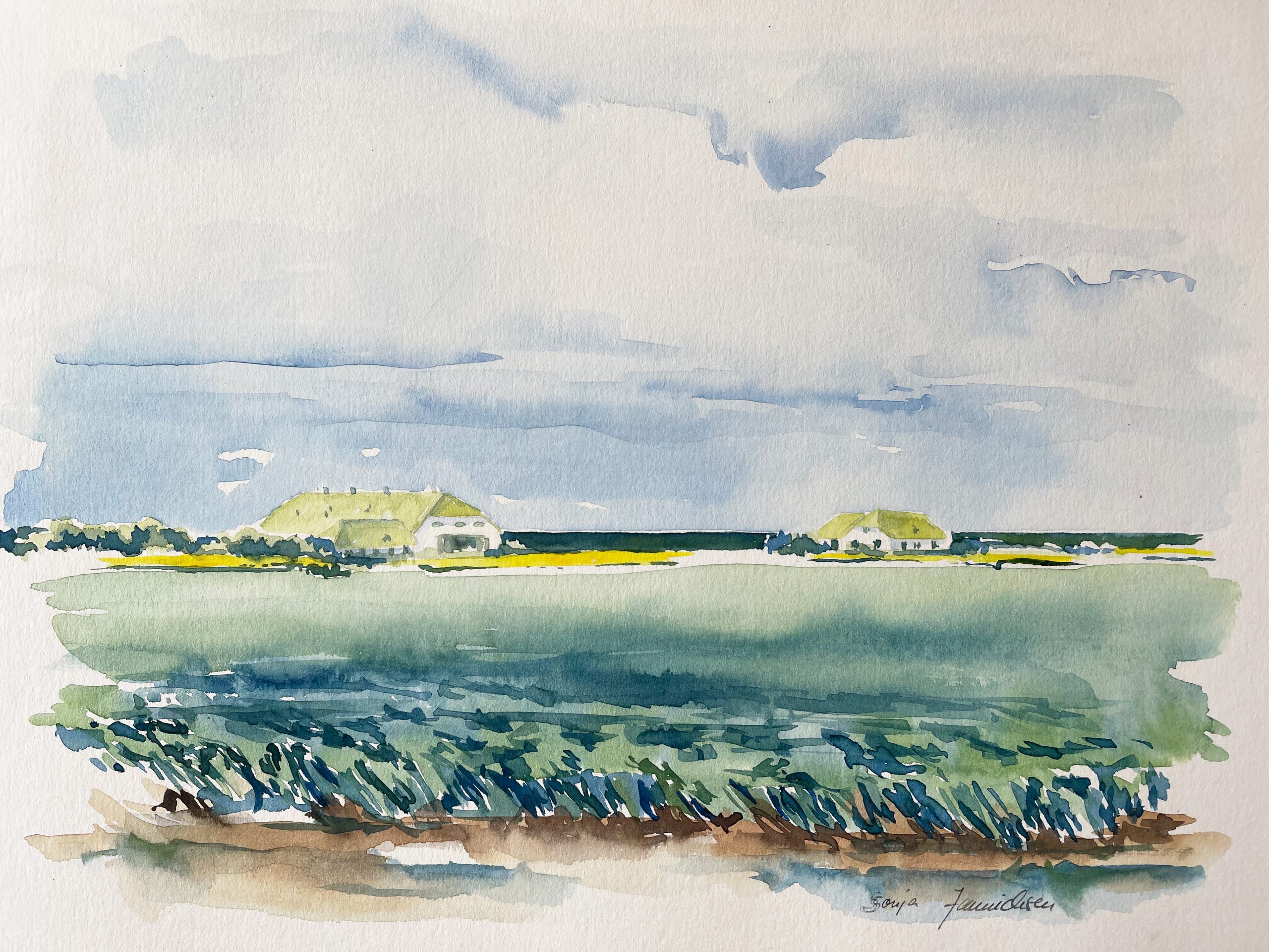 Sönke-Nissen-Koog Landschaft Himmel Aquarell malen