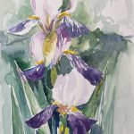 Iris in Lila Blume malen Aquarell