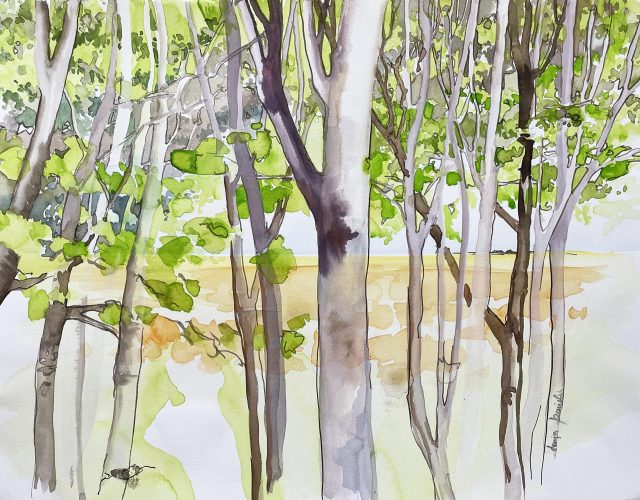 Birken Birkenwald Bäume im Aquarell malen