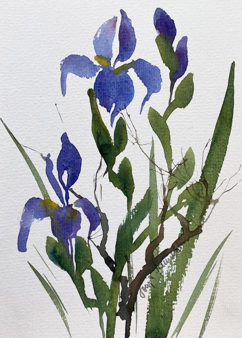 Iris Schwertlilie blau Blume malen Aquarell