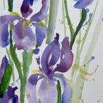 Iris blau Schwertlilie Blume malen Aquarell