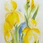 Iris Schwertlilie gelb elegant Aquarell