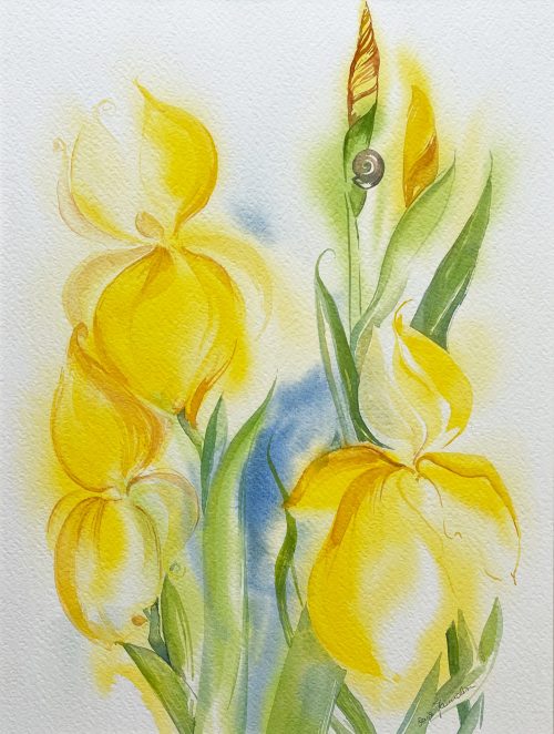 Iris Schwertlilie gelb elegant Aquarell