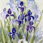 blaue Iris Schwertlilie Blume malen Aquarell