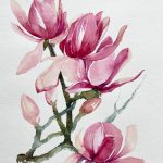 Magnolie Blume rosa Aquarell