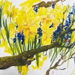 Narzissen Osterglocken gelb mit Ästen Blumen malen Aquarell