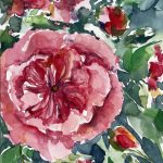 rosa Rose der Liebe Blumen malen Aquarell