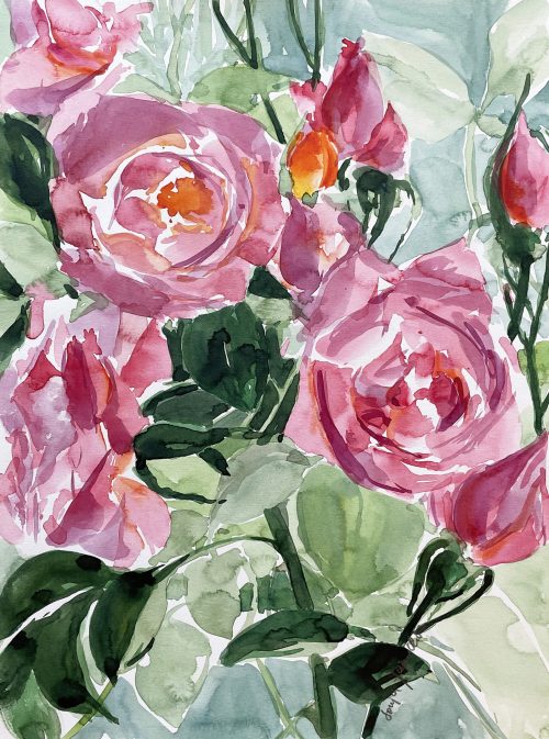 rosa Rosen pink Blumen malen Aquarell