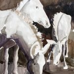 weiße pferde Tier malen Aquarell