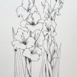 Gladiolen Blume Zeichnung Liner