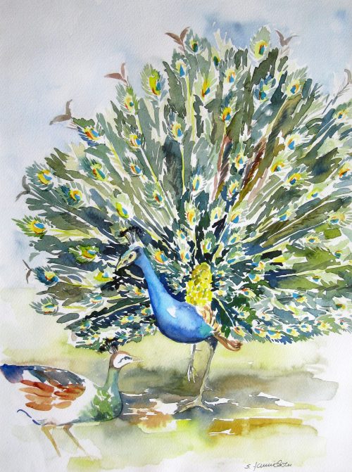 strauss tiere malerei aquarell gemälde vogel
