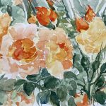 orange rosen aquarell malerei blumen