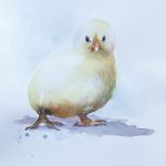 küken aquarell malerei ostern tiere hühner