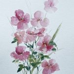rosa blüten malerei aquarell