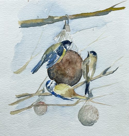 blaumeise vögel aquarell winter schnee futter baum