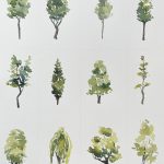 bäume illustration malerei aquarell studie