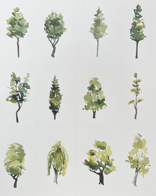 bäume illustration malerei aquarell studie